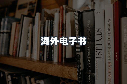 海外电子书
