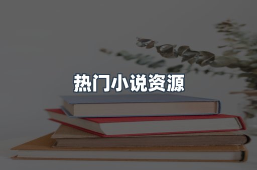 热门小说资源